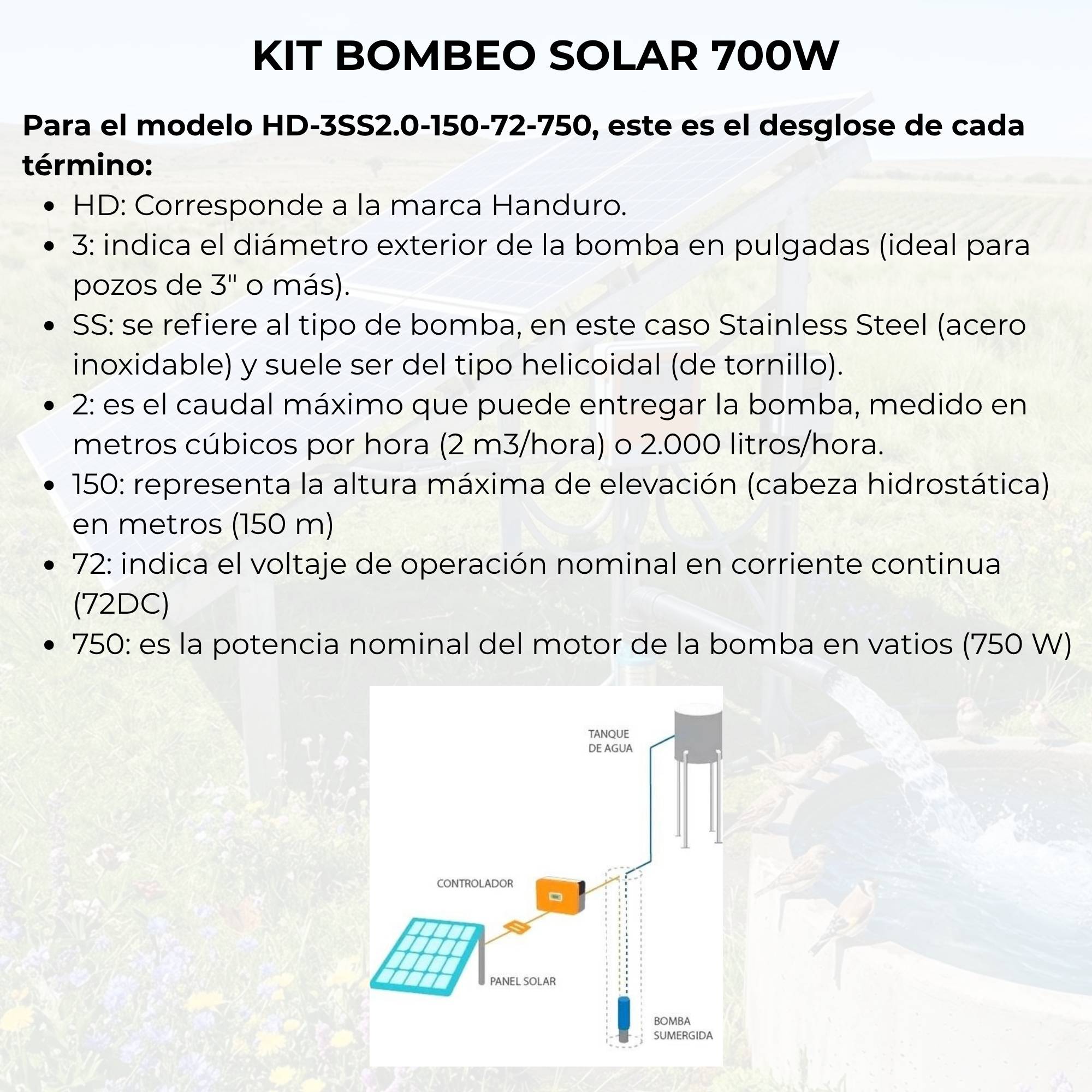 BOMBEO 700 (2)