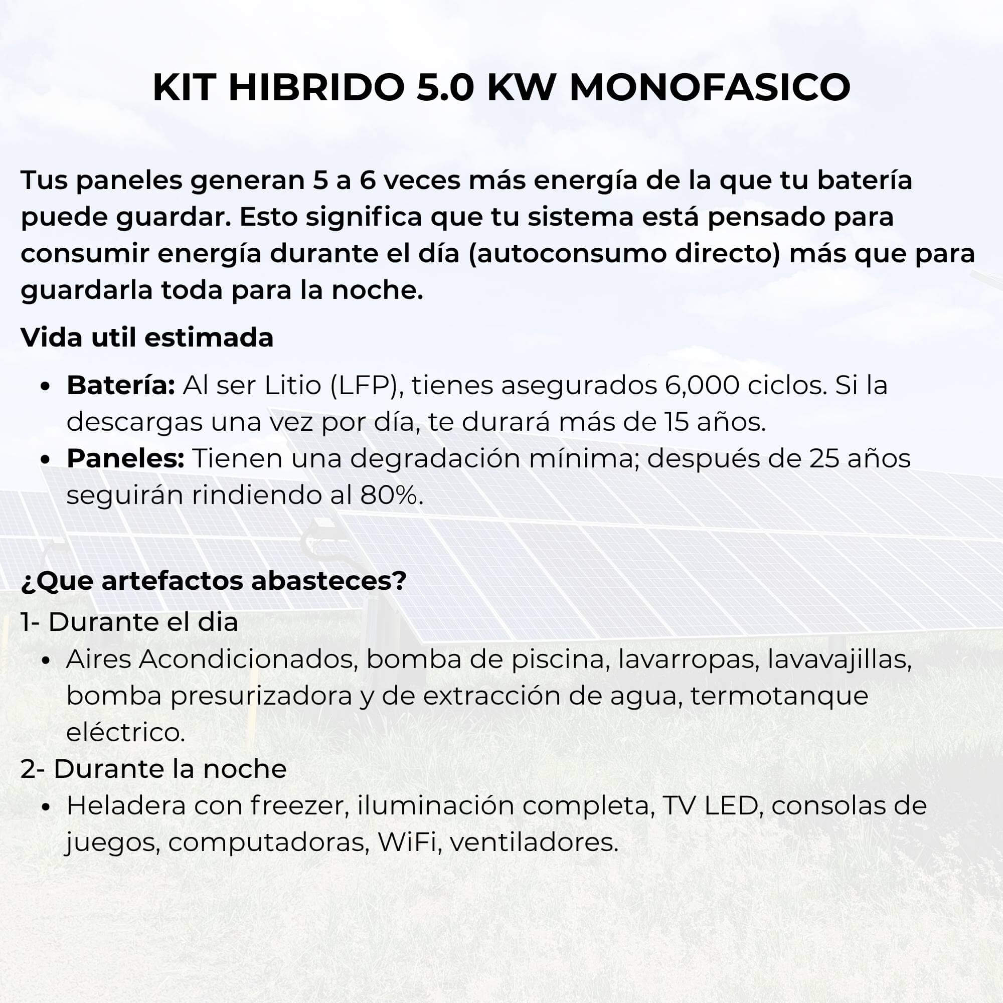HIBRIDO 5 (2)